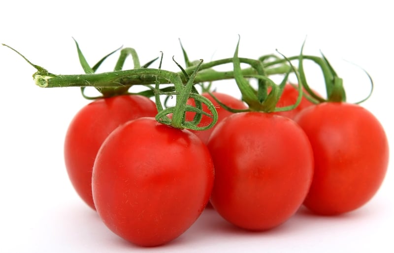 Vegan Food
